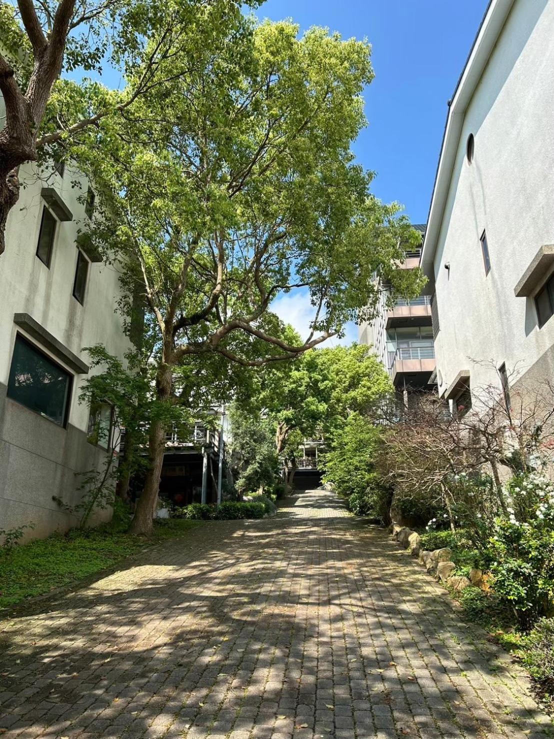 Miaoli Sanyi Travelling Homestay エクステリア 写真