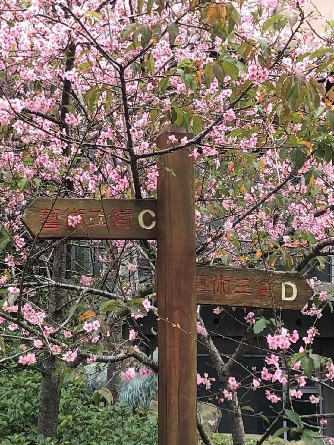 Miaoli Sanyi Travelling Homestay エクステリア 写真